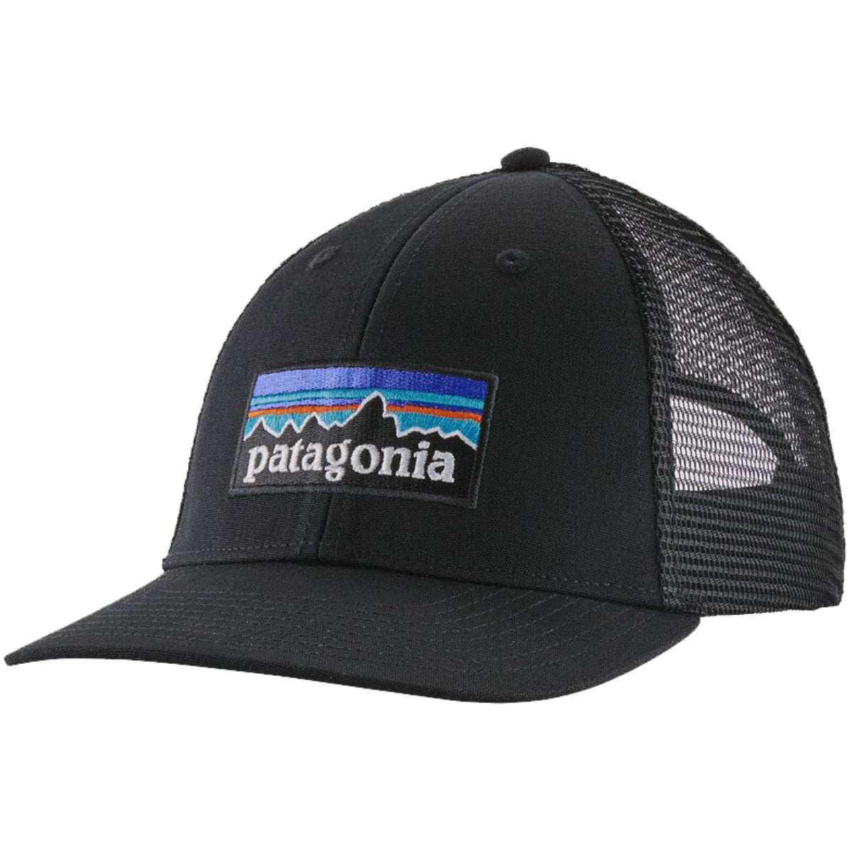 Patagonia P-6 Logo LoPro Trucker Hat