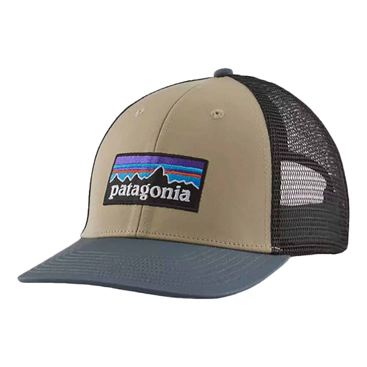 Patagonia P-6 Logo LoPro Trucker Hat